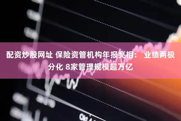 配资炒股网址 保险资管机构年报亮相： 业绩两极分化 8家管理规模超万亿