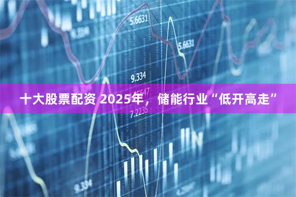 十大股票配资 2025年，储能行业“低开高走”